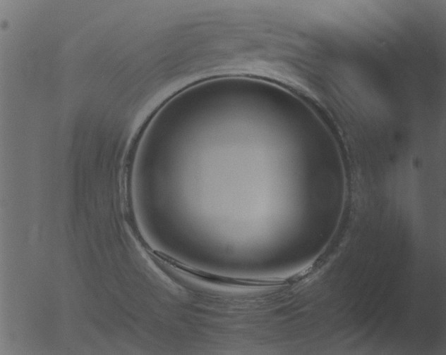 X0000053071517200507181613