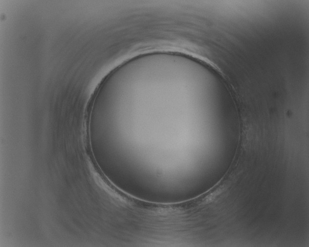 X0000053071518200507181613