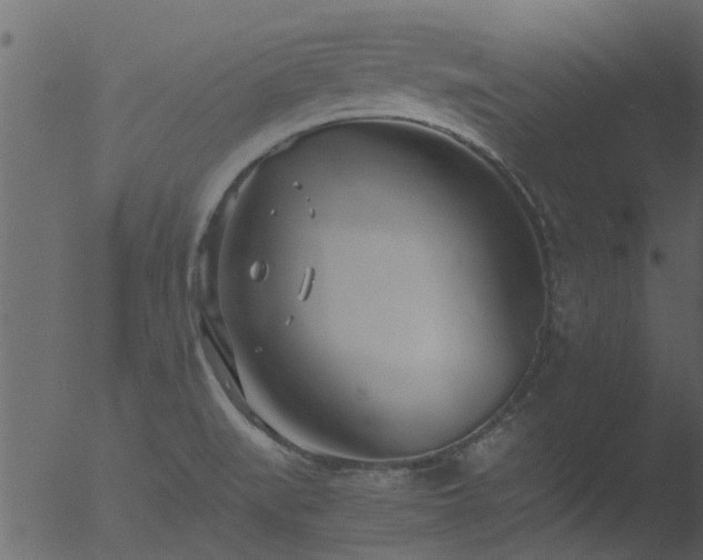 X0000053071519200507181613