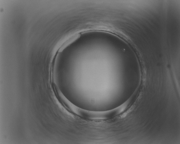 X0000053071520200507181613