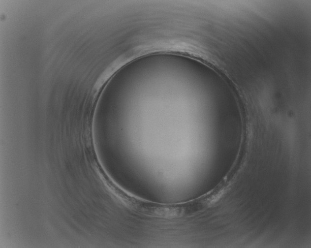 X0000053071521200507181613