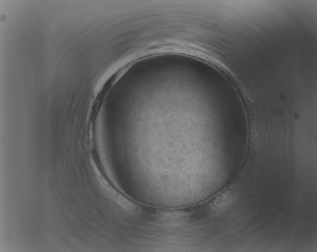 X0000053071522200507181613