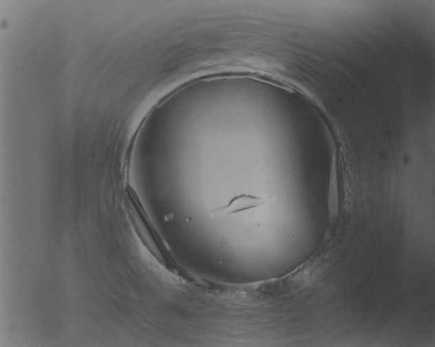 X0000053071524200507181613