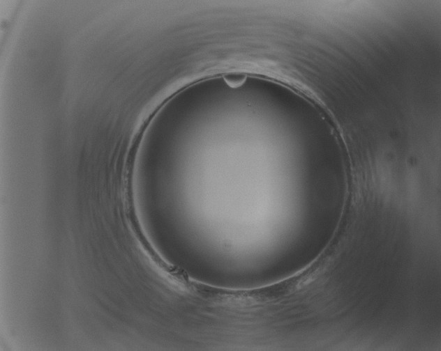 X0000053071525200507181613