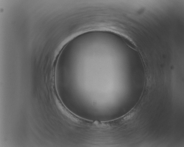 X0000053071526200507181613