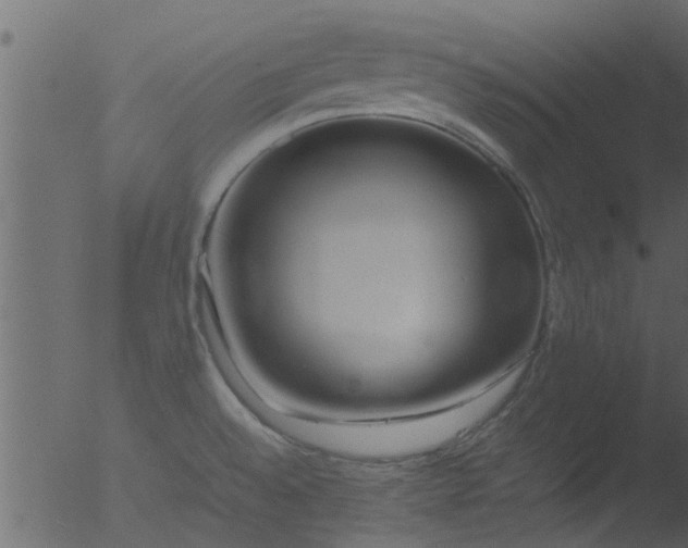 X0000053071528200507181613