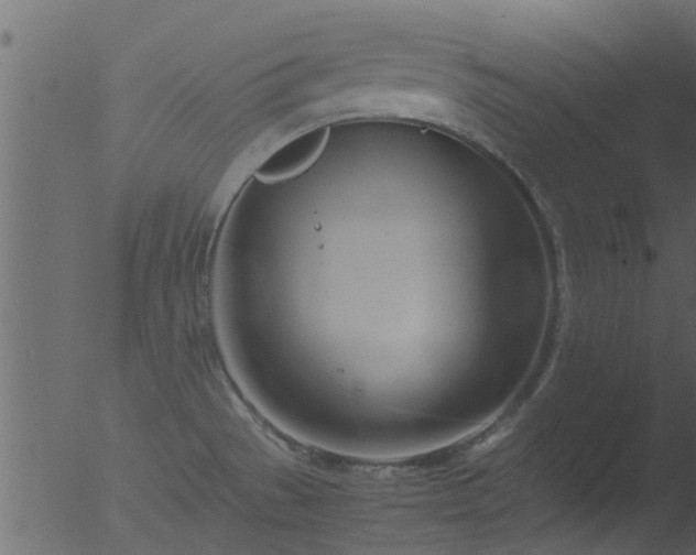 X0000053071529200507181613