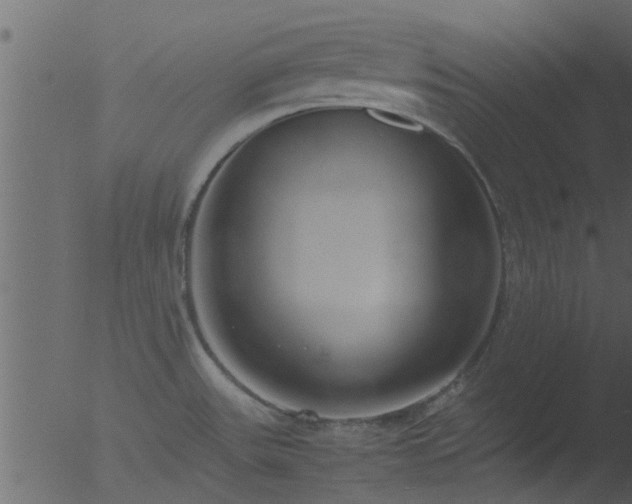 X0000053071531200507181613