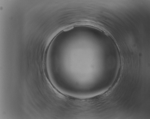 X0000053071533200507181613