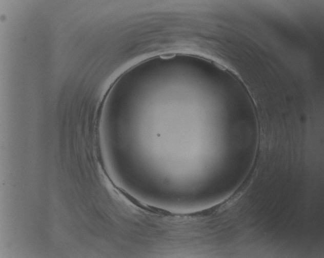 X0000053071534200507181613