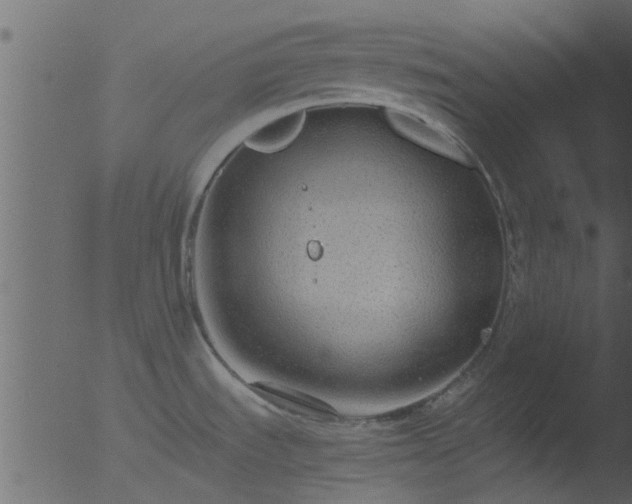 X0000053071535200507181613