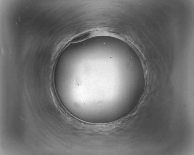 X0000053070001200507251512