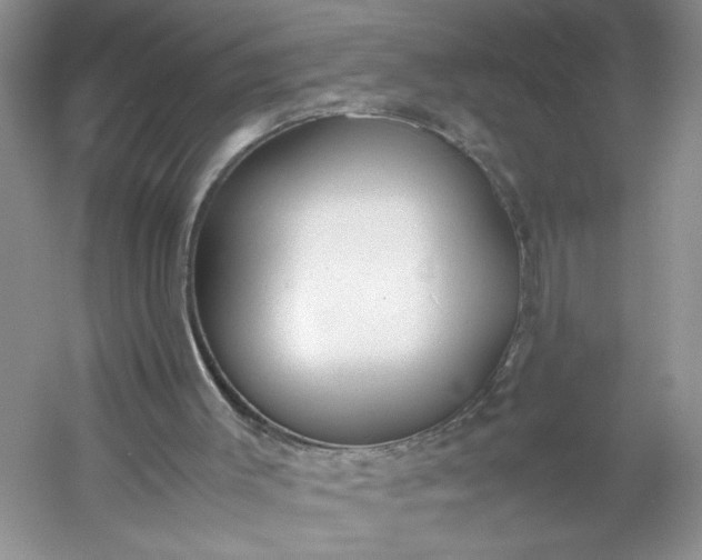 X0000053070003200507251512