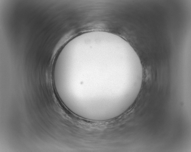 X0000053070004200507251512