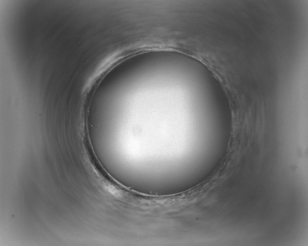 X0000053070005200507251512