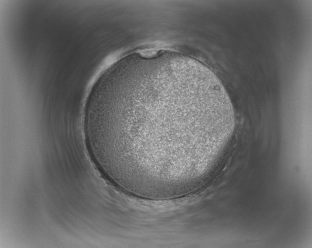 X0000053070006200507251512