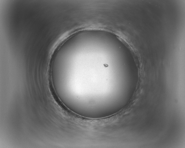 X0000053070007200507251512