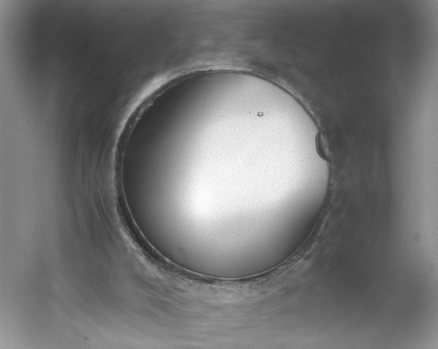 X0000053070008200507251512