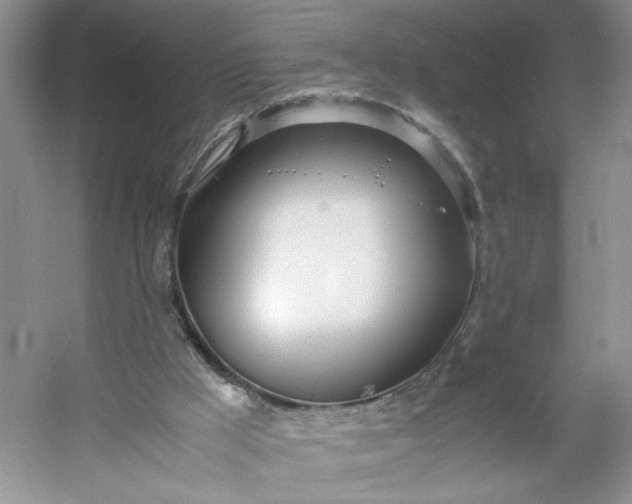 X0000053070009200507251512