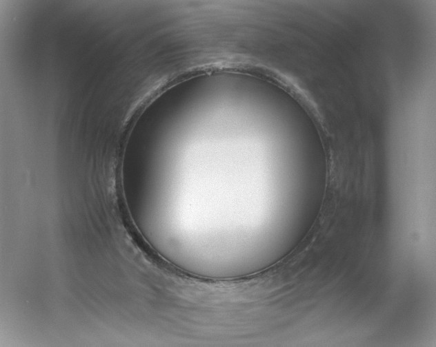 X0000053070010200507251512