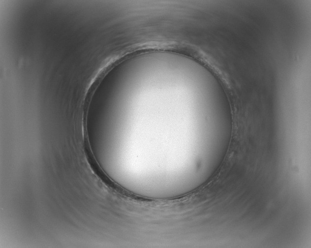 X0000053070011200507251511