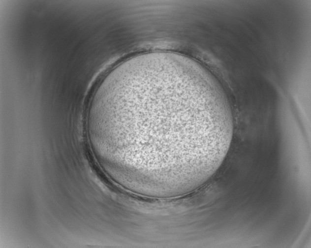 X0000053070012200507251511