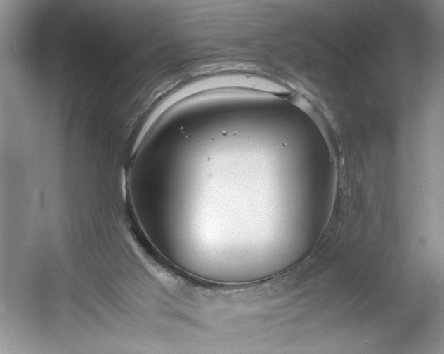 X0000053070013200507251511