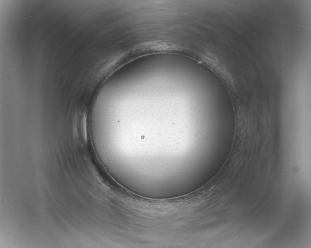 X0000053070014200507251511