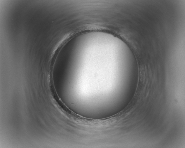 X0000053070015200507251511