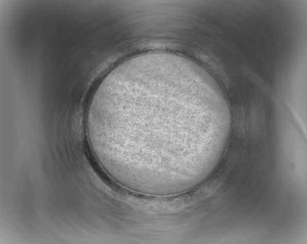 X0000053070016200507251511