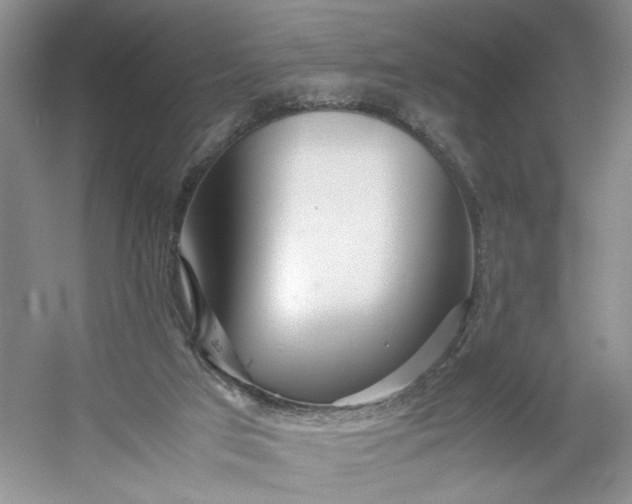 X0000053070017200507251511