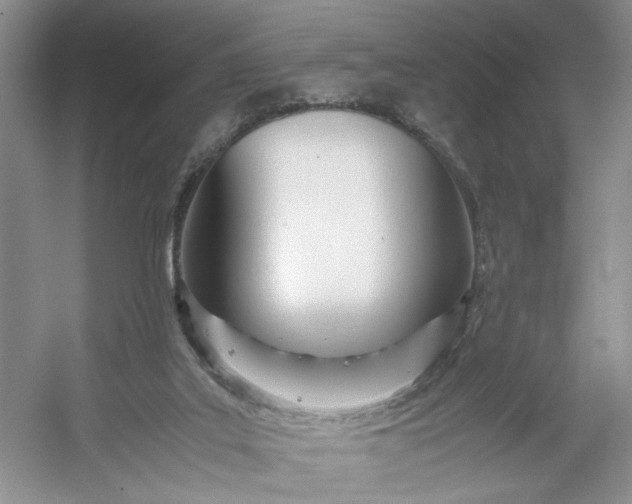 X0000053070019200507251511