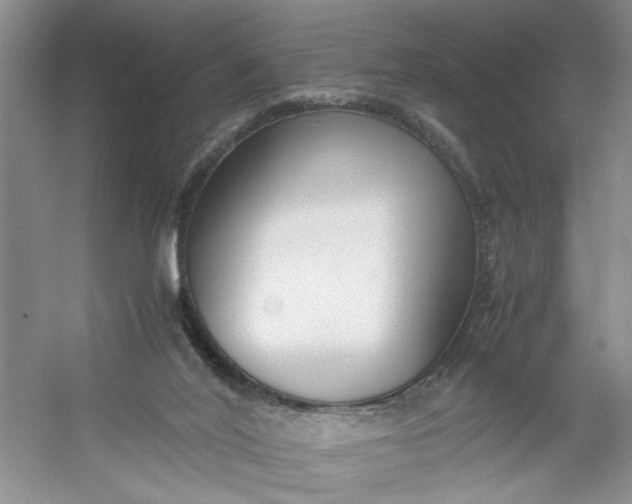 X0000053070020200507251511