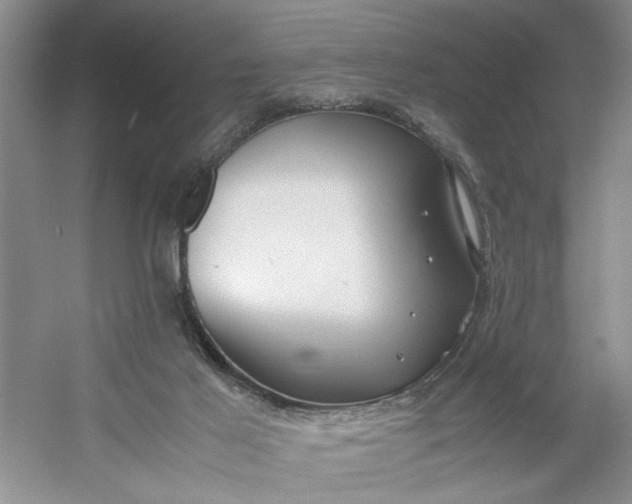 X0000053070021200507251511