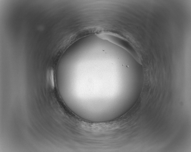 X0000053070022200507251511