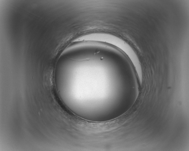 X0000053070023200507251511