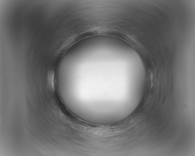 X0000053070024200507251511