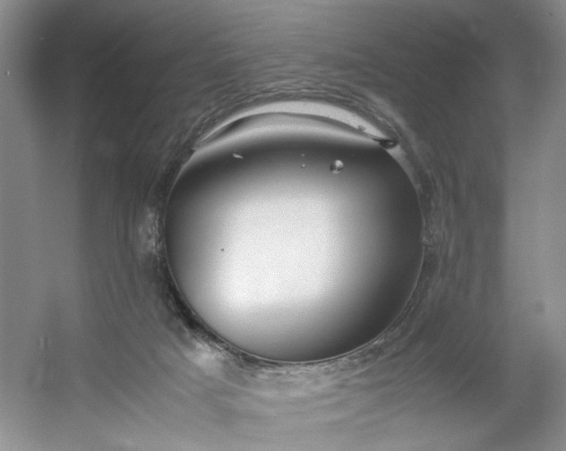 X0000053070025200507251511