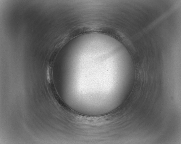 X0000053070026200507251511