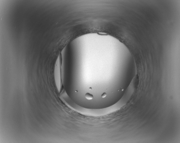 X0000053070029200507251511