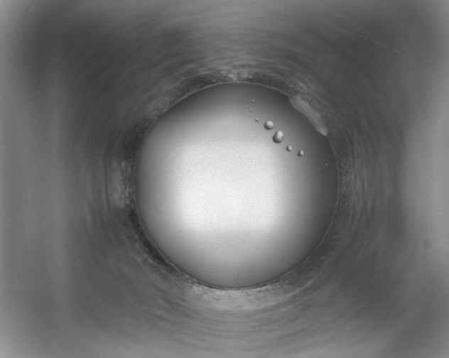 X0000053070030200507251511