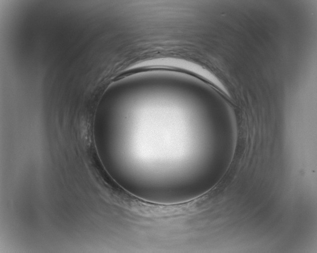 X0000053070031200507251511