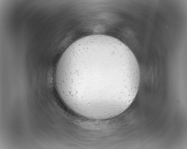 X0000053070032200507251511