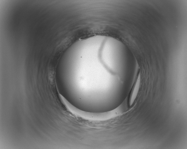 X0000053070033200507251511