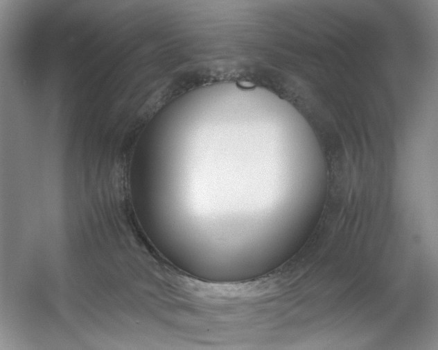 X0000053070034200507251511