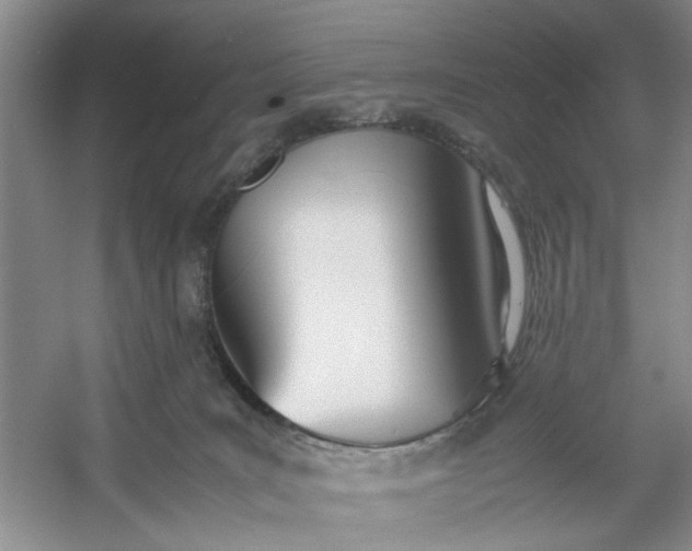 X0000053070035200507251511