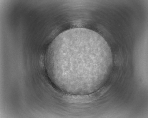 X0000053070036200507251511