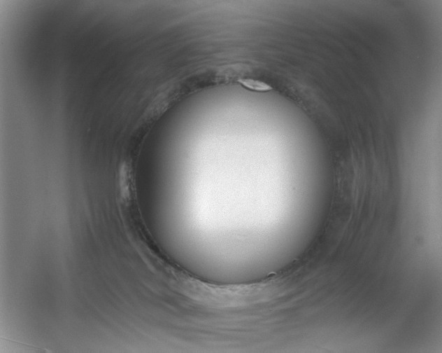 X0000053070038200507251511