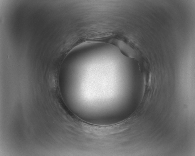 X0000053070039200507251511