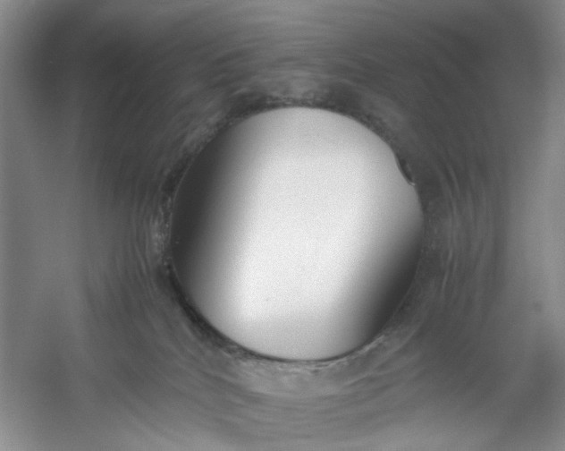 X0000053070040200507251511